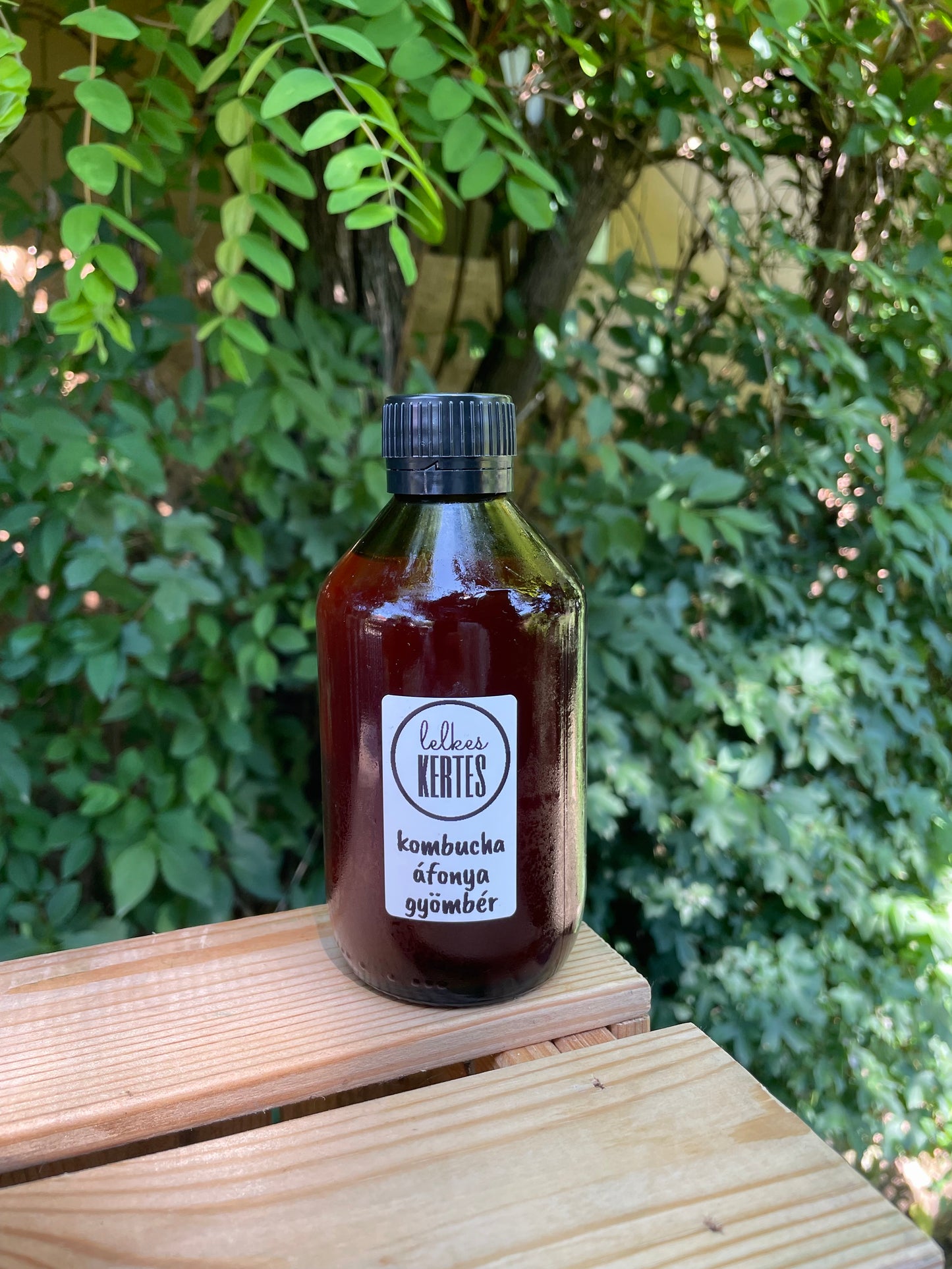 Kombucha áfonya-gyömbér