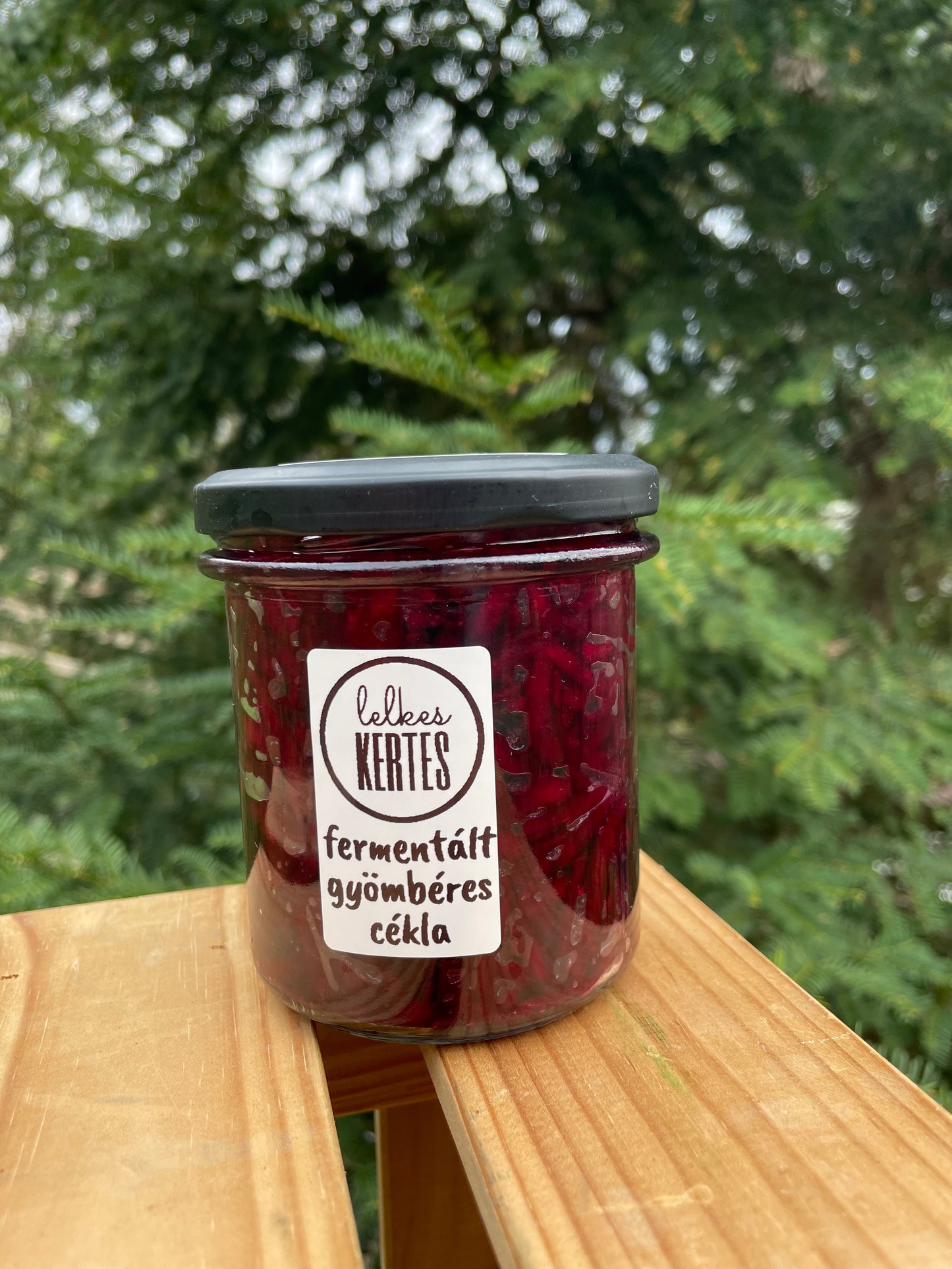 Fermentált gyömbéres cékla