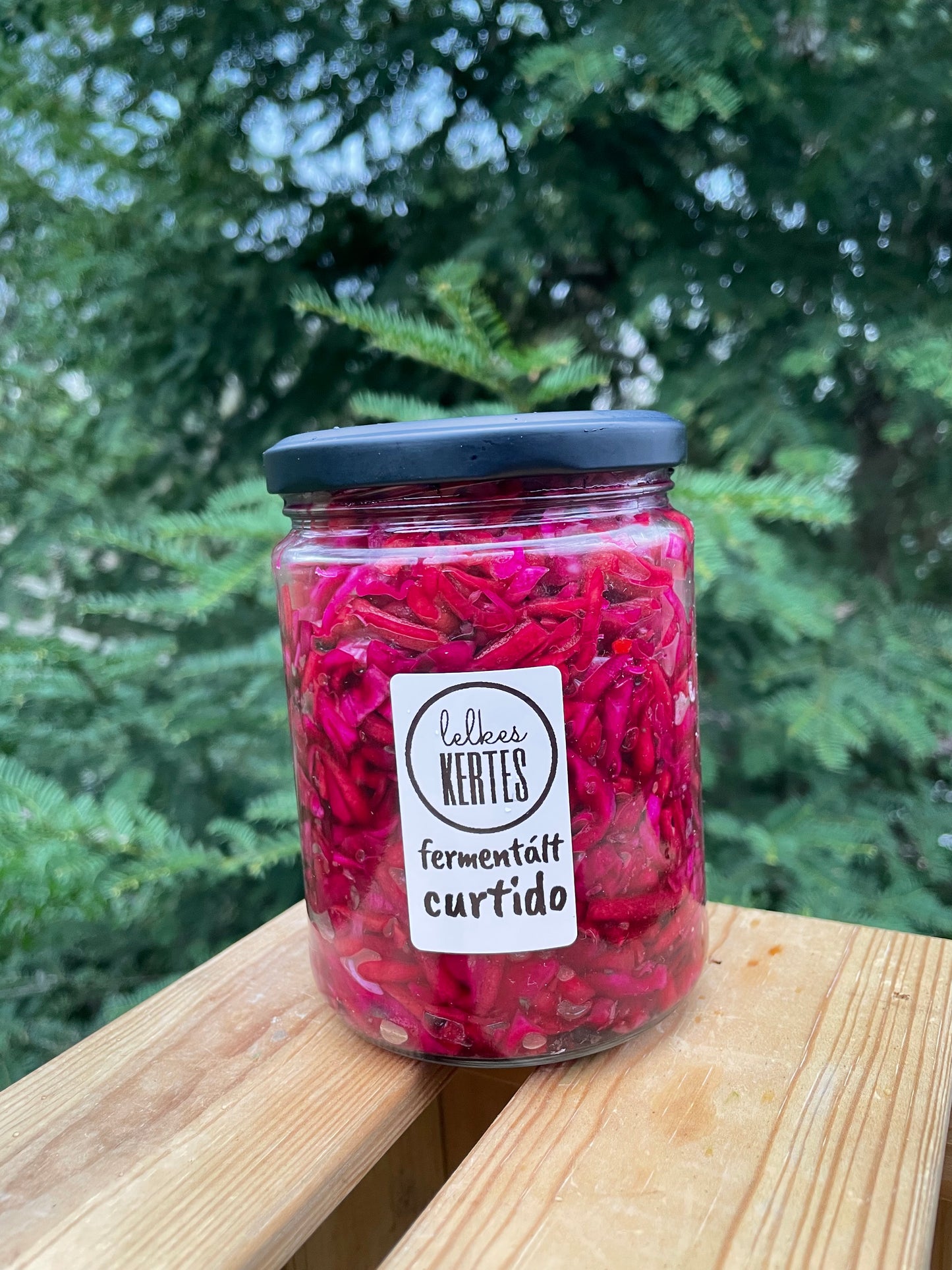 Fermentált curtido
