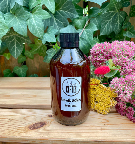 Kombucha málna