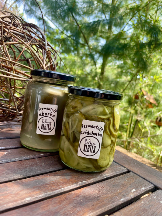 Fermentált svéduborka