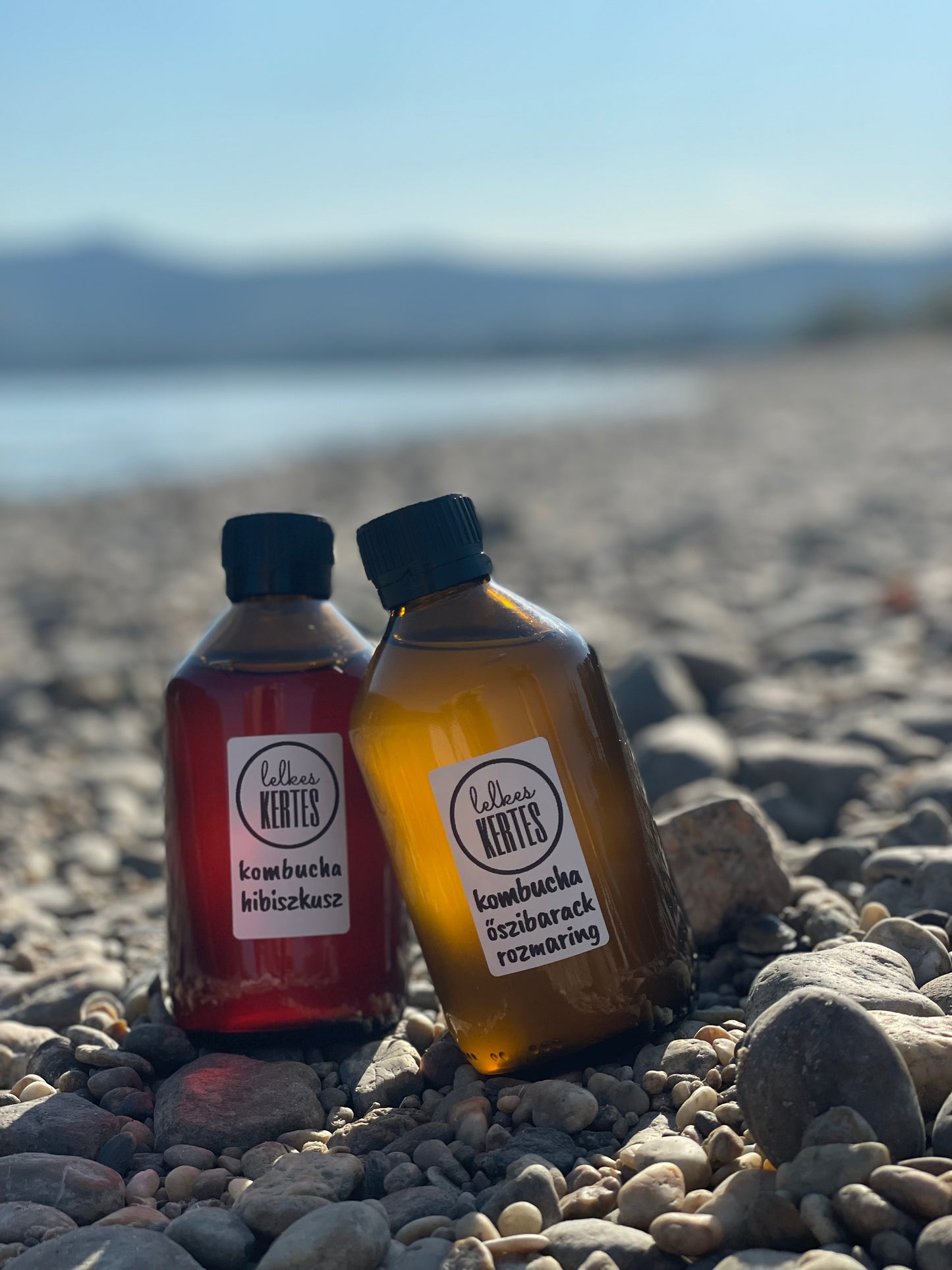 Kombucha hibiszkusz