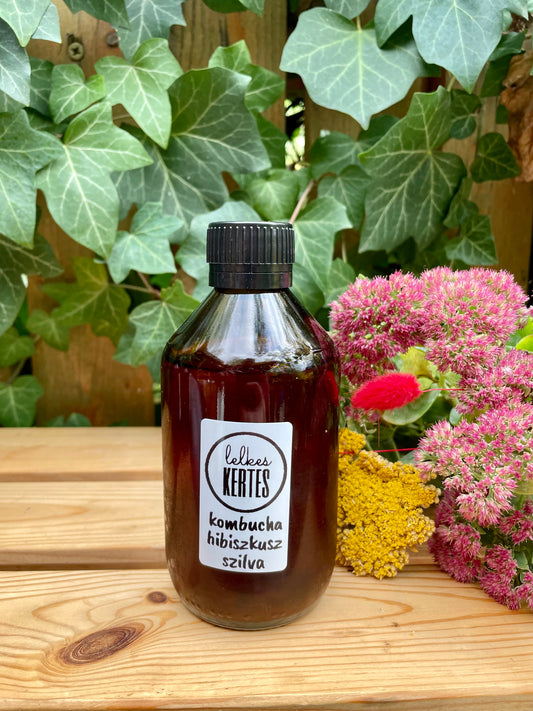 Kombucha hibiszkusz-szilva