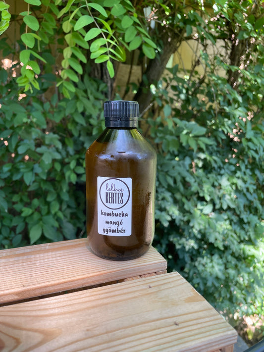 Kombucha mangó-gyömbér