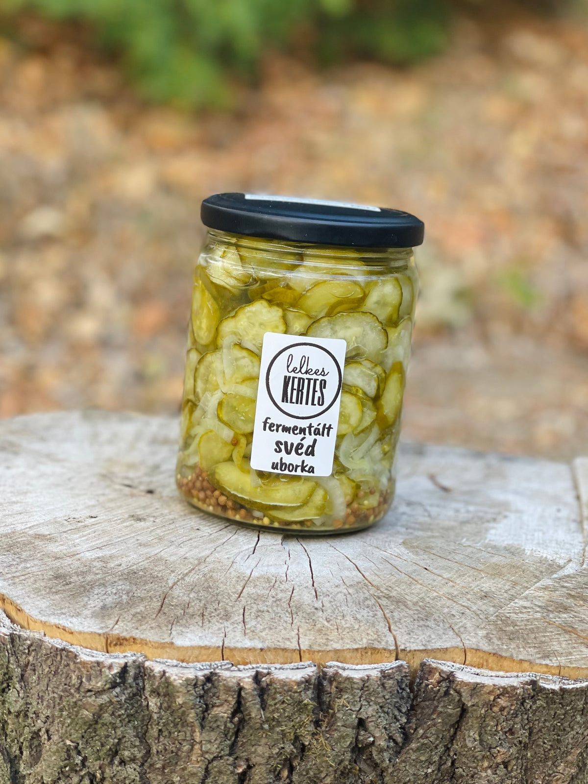 Fermentált svéduborka