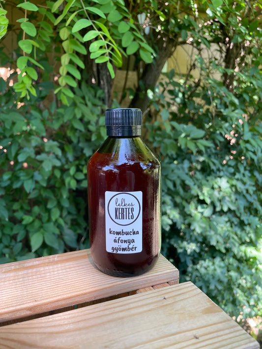 Kombucha áfonya-gyömbér