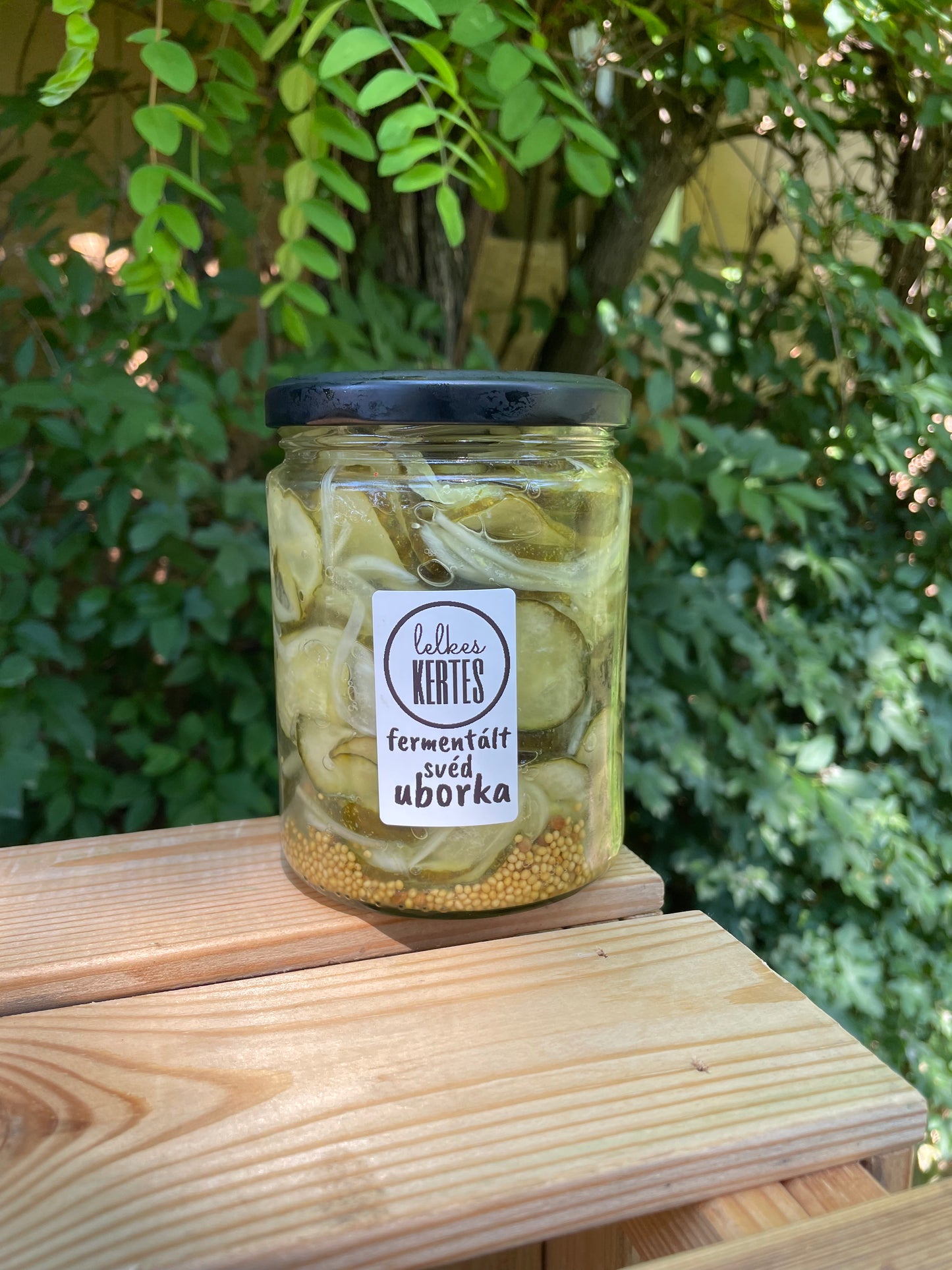 Fermentált svéduborka